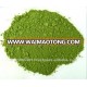 Dried Spinach Powder